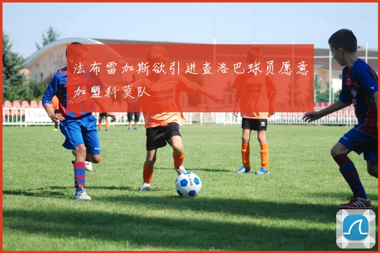 法布雷加斯欲引进查洛巴球员愿意加盟科莫队